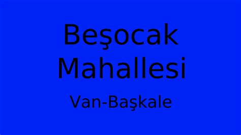 Van Baskale Besocak Mahallesi terapi halı yıkama