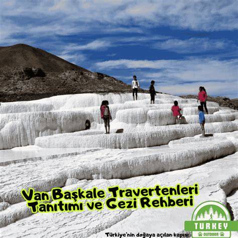 Van Baskale Bilgec Mahallesi terapi halı yıkama