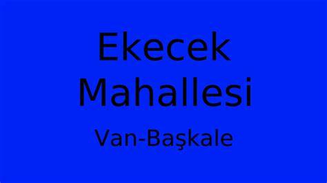 Van Baskale Ekecek Mahallesi terapi halı yıkama