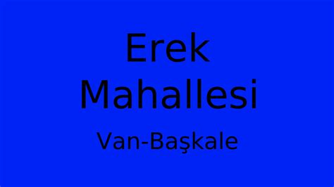 Van Baskale Erek Mahallesi terapi halı yıkama