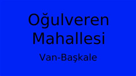 Van Baskale Tahil Mahallesi terapi halı yıkama