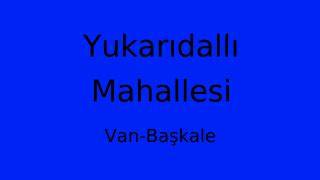Van Baskale Yukaridalli Mahallesi terapi halı yıkama