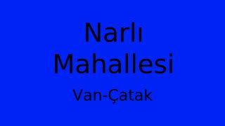 Van Catak Narli Mahallesi terapi halı yıkama