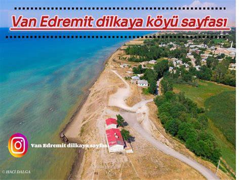 Van Edremit En Yakin terapi halı yıkama