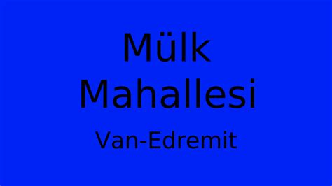Van Edremit Mulk Mahallesi terapi halı yıkama