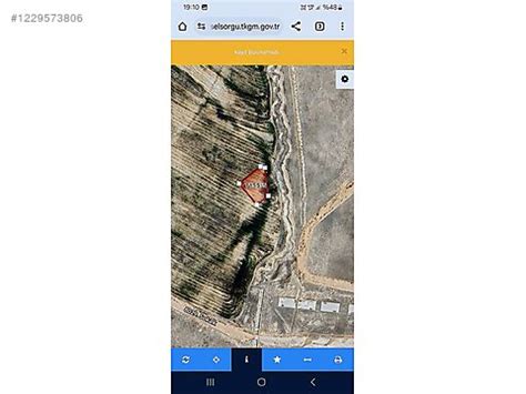 Van Edremit Suphan Mahallesi terapi halı yıkama