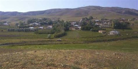 Van Edremit Taskonak Mahallesi terapi halı yıkama