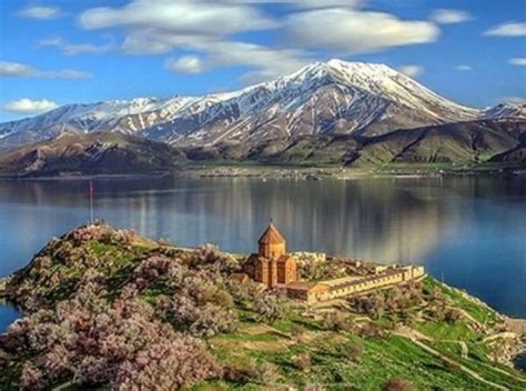 Van Ercis Akbas Mahallesi terapi halı yıkama