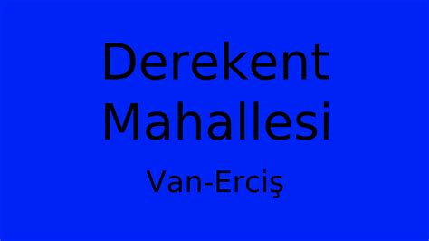 Van Ercis Derekent Mahallesi terapi halı yıkama
