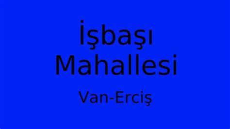 Van Ercis Isbasi Mahallesi terapi halı yıkama