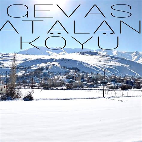Van Gevas Atalan Mahallesi terapi halı yıkama