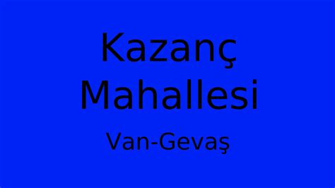 Van Gevas Kazanc Mahallesi terapi halı yıkama