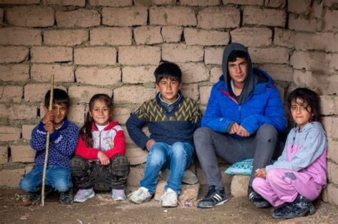 Van Gurpinar En Yakin terapi halı yıkama