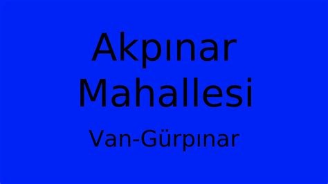 Van Gurpinar Parmakkapi Mahallesi terapi halı yıkama