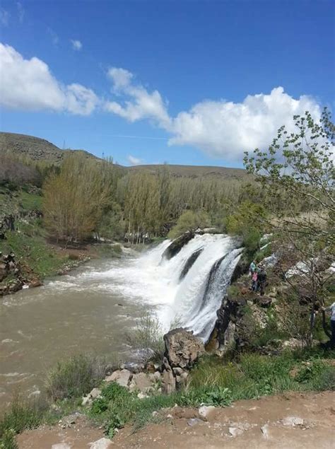 Van Muradiye En Yakin terapi halı yıkama