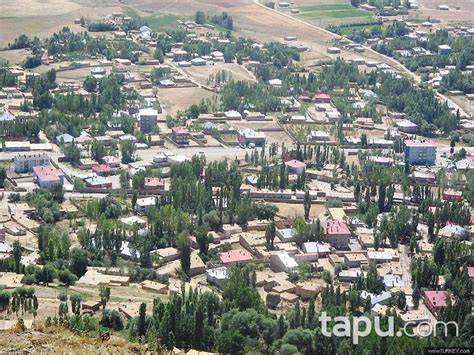 Van Ozalp Boyaldi Mahallesi terapi halı yıkama