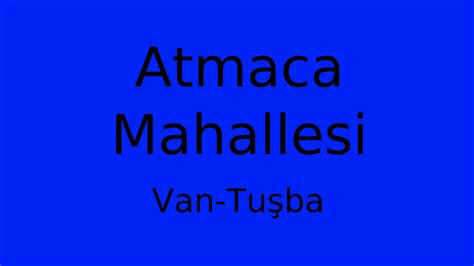Van Tusba Atmaca Mahallesi terapi halı yıkama