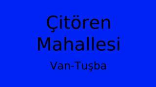 Van Tusba Citoren Mahallesi terapi halı yıkama