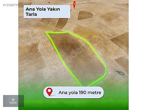 Van Tusba Colpan Mahallesi terapi halı yıkama
