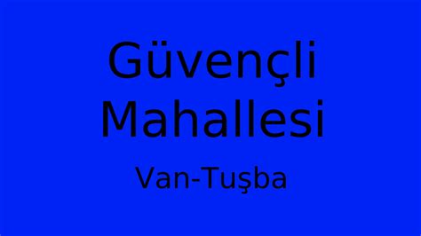 Van Tusba Guvencli Mahallesi terapi halı yıkama