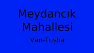 Van Tusba Meydancik Mahallesi terapi halı yıkama