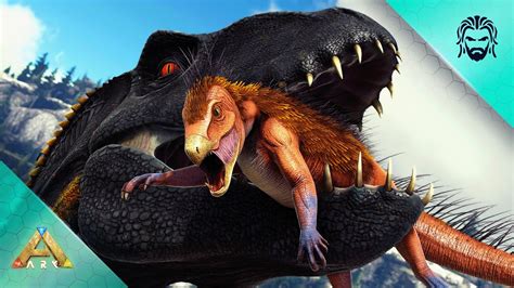 Van diamond.  7 hours ago · FAYETTEVILLE, Ark.  Genetically Tested, Raised wit...