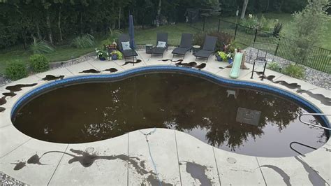 Vandals terrorize Illinois family, pouring oil into their pool