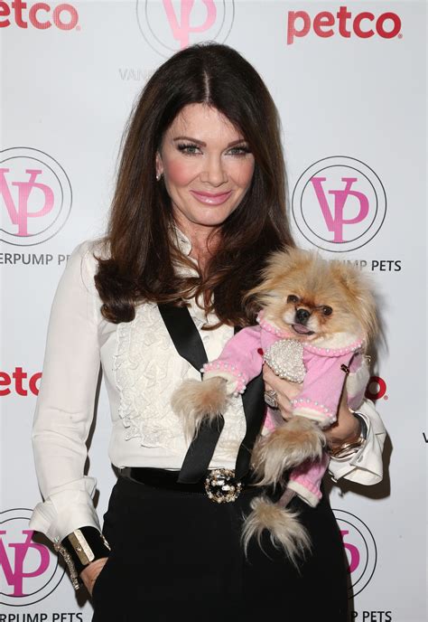 Vanderpump dogs. Observational series Vanderpump Dogs begins today on hayu.. The series follows the stories behind dog adoptions at the shop in West Hollywood owned by Vanderpump Rules star Lisa Vanderpump.. This new show brings fans and pet lovers deeper into Lisa Vanderpump’s luxurious life, by chronicling the stories … 