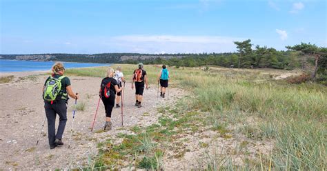 Vandringsresor singel
