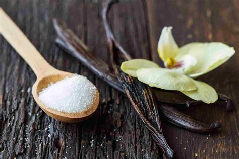 codini.rgarabwor.edu.pl. 