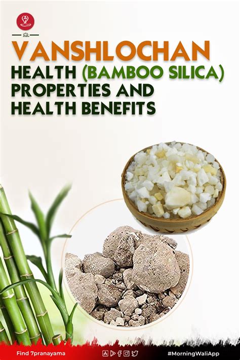 Vanshlochan (Bamboo Silica) Properties and Health Benefits