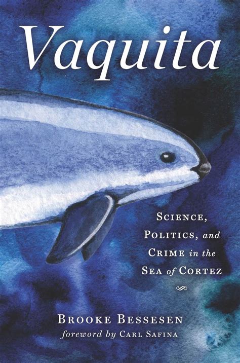 Read Online Vaquita Science Politics And Crime In The Sea Of Cortez By Brooke Bessesen