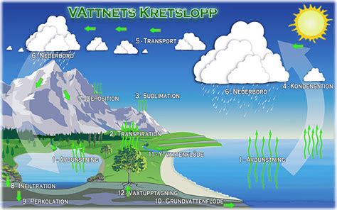 Varför avdunstar vatten