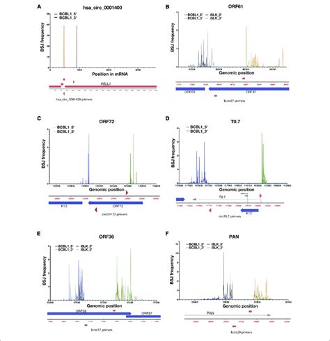 Variabilities of back-splice junction (BSJ) loci in ... - ResearchGate