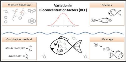 Variability in fish bioconcentration factors: Influences of study ...