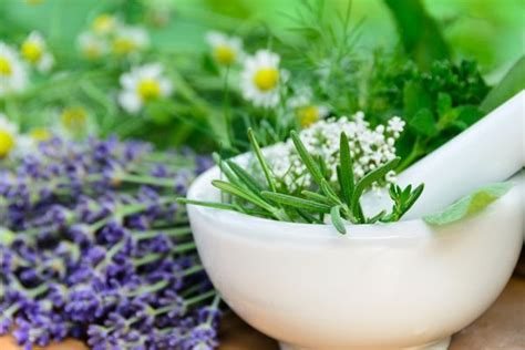 Varise ne iyi gelir bitkisel.