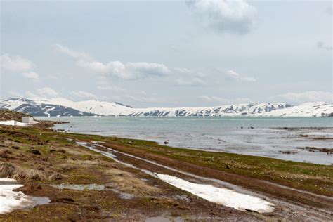 Varto Halı ve Koltuk Yıkama