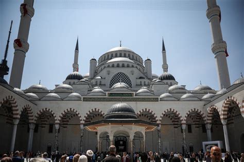 Vasfi Halı ve Koltuk Yıkama