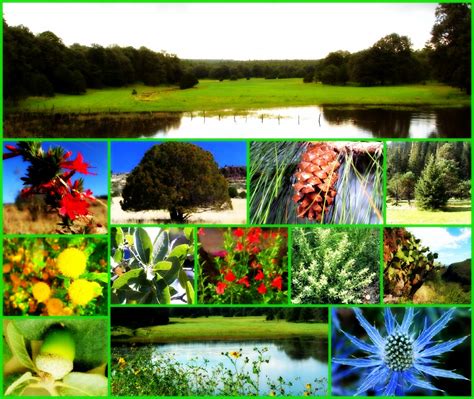 Vasilisa (Flora E) Leaks [CLIP] 135 Pics