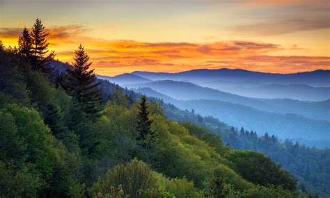 Vast forest in Great Smoky Mountains National Park thanks to ...