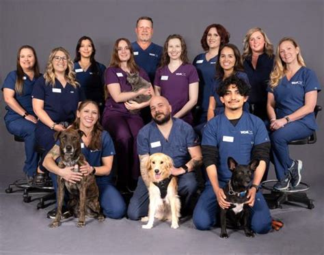 Vca animal referral and emergency center of arizona reviews. Things To Know About Vca animal referral and emergency center of arizona reviews. 
