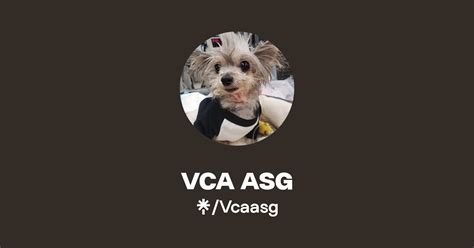 Vca asg. VCA Animal Specialty Group Location 5610 Kearny Mesa Rd., Suite B San Diego, CA 92111. Hours & Info Days Hours; Mon - Sun: Open 24 hours: VCA Animal Hospitals ... 