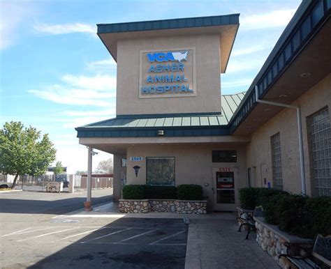 Vca asher. This organization is not BBB accredited. Animal Hospital in Redding, CA. See BBB rating, reviews, complaints, & more. 