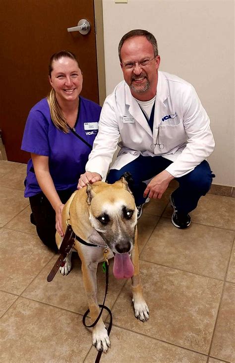Vca aurora animal hospital. Mon - Fri: 8:00 am - 6:00 pm. Sat: 8:00 am - 1:00 pm. Sun: Closed. Get exceptional Vaccinations services from highly experienced & loving pet care professionals in Aurora, IL. Visit VCA Aurora Animal Hospital today. 