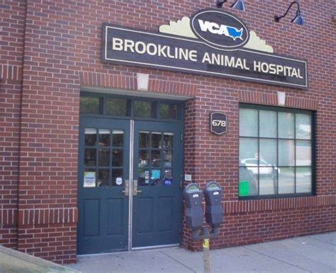 Vca brookline. We are so happy to show off our new hospital at 375 Boylston St., Brookline, MA. You can access our newly paved parking lot in the rear by taking Cypress St. to Brington Rd. We can't wait to see... 