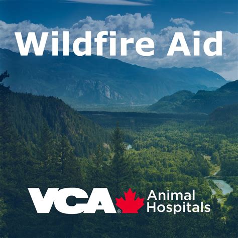 Vca discounts.  Here&rsquo;s how to get free pet exams from VCA Animal Hospital.  1 ...