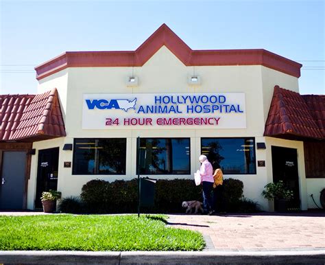 Vca hollywood. Specialties: For over 70 years, VCA Hollywood Animal Hospital has provided reliable pet care to our South Florida community. Having … 