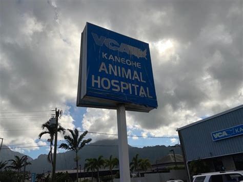 Vca kaneohe. VCA Family and Oahu Veterinary Specialty Center. 98-1254 Kaahumanu Street Pearl City, HI 96782 