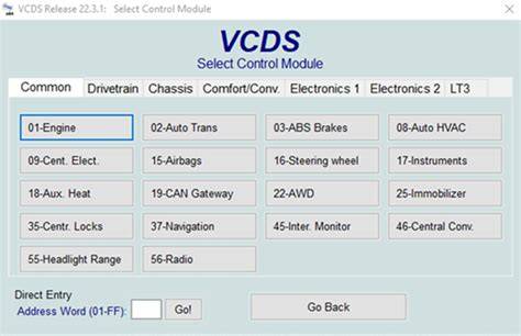 Vcds vw.  VCDS (an abbreviation for "VAG-COM Diagnostic System" ...