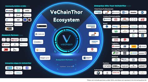 VeChain's Response and Community Awareness